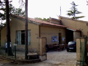 scuola Viole