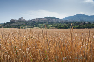 festival delle eccellenze