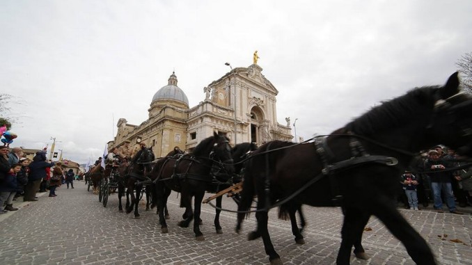 Assisi amica degli animali, la presentazione sabato 20 gennaio