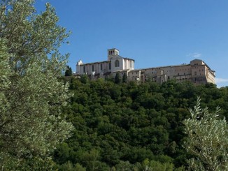 Le Stelle cadenti al Bosco di San Francesco