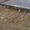 Pericolosi tombini senza coperchio