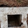 pericolosi tombini a palazzo di assisi area verde madonna di lourdes
