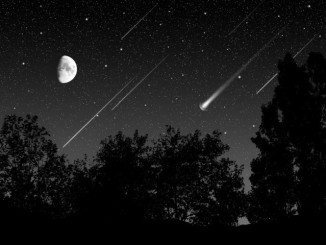 stelle cadenti