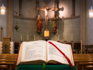 Da Assisi un messaggio per la custodia del creato Testi e musiche per illustrare il volume: “Laudato Si’. Dal Cantico di frate Sole all’enciclica di papa Francesco”
