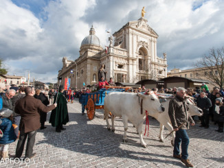 Piatto Sant’Antonio domenica il clou con processione e sfilata animali