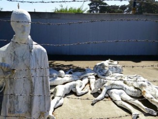 Giorno della memoria, Travicelli, consapevolezza e azioni concrete Troppo spesso,in tante ricorrenze,c'è chi si riempie la bocca di parole