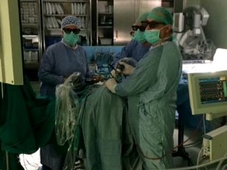 Gli organi di Donatella ridanno vita ad altre persone