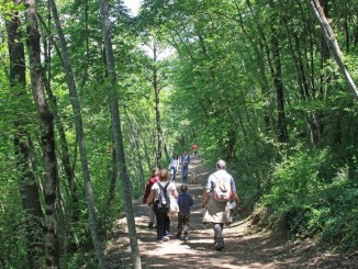 Olimpiadi dei giochi dimenticati, al Bosco di San Francesco