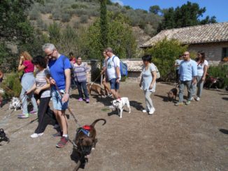 In cammino a 6 zampe passeggiata al Bosco di San Francesco