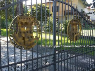 Maltrattamenti [Video] Alveare Torchiagina, Corte d’Appello riduce le pene