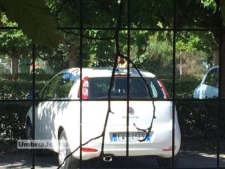 Assisistan, scene di ordinario degrado sociale a Santa Maria degli Angeli