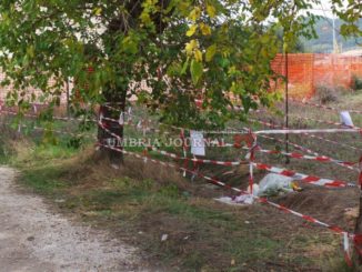 Morte Domenico Pelagatti, funerali saranno mercoledì 26 ottobre a Bastia