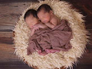 Fertility Room Assisi, chi si ricorderà di spedire il certificato? Nessuno?