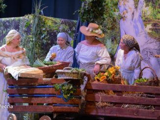 Solidarietà, Sogno di una notte di mezza estate, successo al Lyrick di Assisi