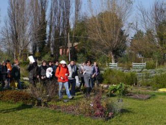 Unto Assisi, programma passeggiata Castelnuovo e Tordandrea