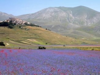 Terremoto, Assisi per la grande bellezza della Valnerina