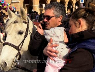 Piatto di Sant'Antonio, a Santa Maria degli Angeli la processione e la benedizione degli animali