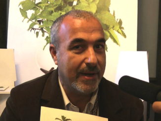 Quinto tempo, la giunta di Assisi va avanti come prima, e l'assessore Guarducci?