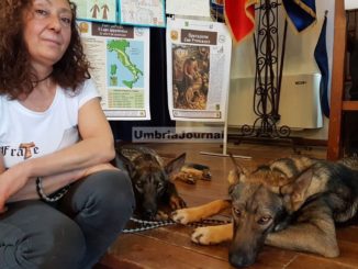 Lupo Italiano, un esemplare che ha una marcia in più
