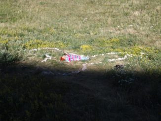 Politici che abusano dei social, Mossuto, schiaffi a Marini e Guarducci