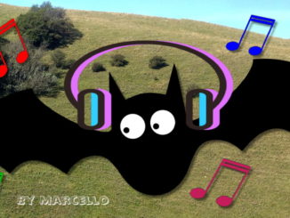 Concerti al Mortaro con cuffiette, Guarducci, i pipistrelli amano la musica