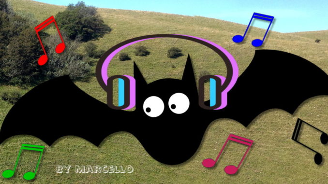 Concerti al Mortaro con cuffiette, Guarducci, i pipistrelli amano la musica