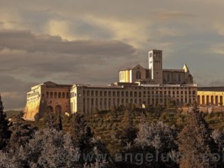 Andrea Angelucci, La bellezza salverà il mondo e Assisi ne ha da vendere!