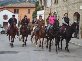 Ippovia su Via di Francesco turismo sostenibile salta in sella