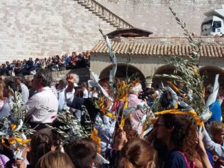Assessore Pettirossi, grazie agli studenti e studentesse alla festa di San Francesco