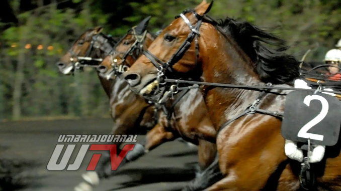 PALIO Palio dei Comuni a Montegiorgio di Fermo, Assisi portacolori dell’Umbria