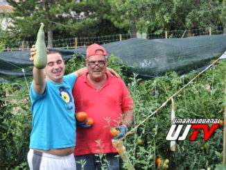 Premio Speciale all’Istituto Serafico di Assisi da Bandiera Verde Agricoltura 