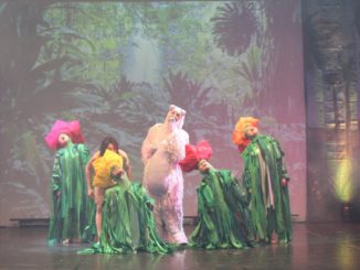 Teatro Lyrick, l'anno s chiuderà con il musical Il Libro della Giungla