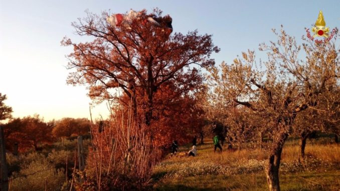 Deltaplanista perde controllo e atterra su un albero a Rivotorto di Assisi [Foto]