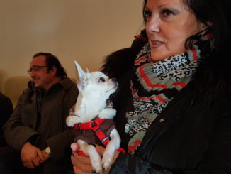 Assisi amica degli animali... speriamo presto anche nei fatti