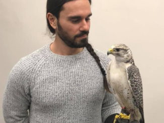 Spettacolo Falcong lo spettacolo della falconeria, nella memoria dell’uomo