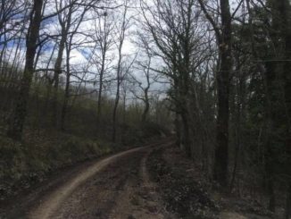 Viabilità, lavori in corso sulle strade delle frazioni e di montagna