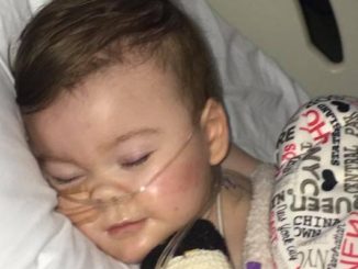 Alfie Evans, questa sera un Rosario per lui e per la sua vita