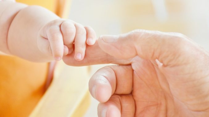 Approvato bilancio di previsione, Assisi domani, un successo e un valore aggiunto