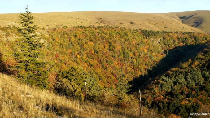 Facciamo del Parco del Monte Subasio un vero parco