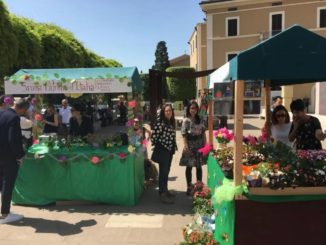 Le Rose per Dono fiera floro-vivaistica in scena a Santa Maria degli Angeli