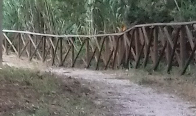 Erbacce alte a San Vittorino, dopo nostra segnalazione, Amministrazione interviene [Foto]