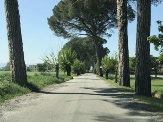 Lavori ad ottobre su oltre 13 chilometri di strade comunali