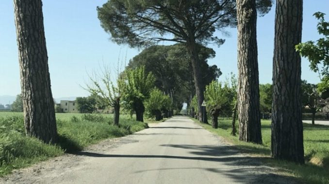 Lavori ad ottobre su oltre 13 chilometri di strade comunali
