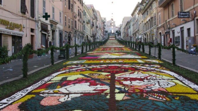 Città dell'infiorata Genzano completato il bozzetto per Assisi
