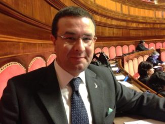 Sottosegretario Candiani