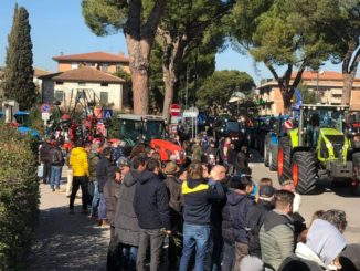 Tutti in festa con gli agricoltori a Santa Maria degli Angeli