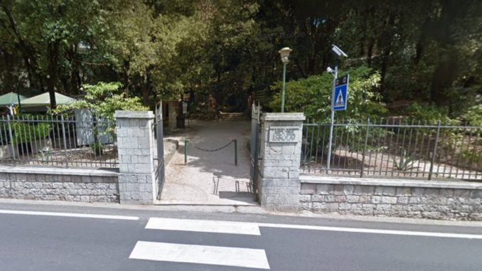 Maurizio Terzetti, Pincio, come si è arrivati a questo degrado?