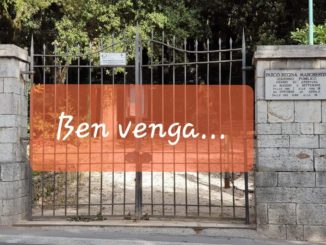 Ben venga, quattro chiacchiere dei lecci fra di loro, cronaca di fantasia