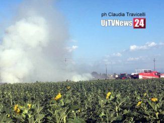 Incendio campo di girasoli lungo la strada per Petrignano