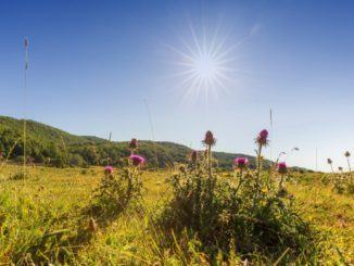 Il rilancio dei prati di Stroncone e maggiore attenzione all’ambiente